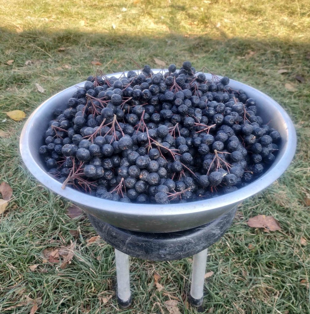 Фото №3