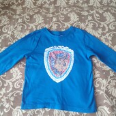 Реглан з паєтками (98)