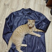 Livergy куртка чоловіча екошкіра.