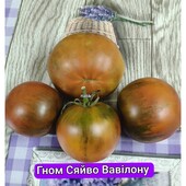 Томат Сяйво Вавілону